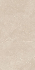 Плитка из керамогранита NL01 60x120x10 Полир. (Керамический гранит)
