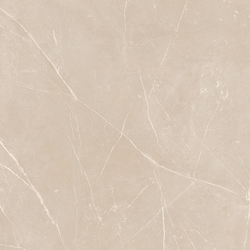 Плитка из керамогранита NL01 60x60x10 Полир. (Керамический гранит)