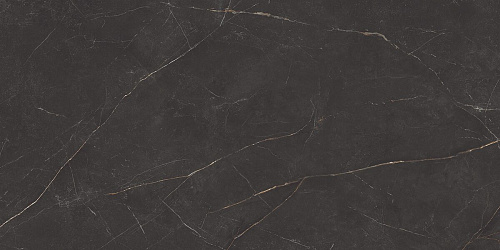 Плитка из керамогранита NL04 80x160x11 Непол.Рект. (Керамический гранит)