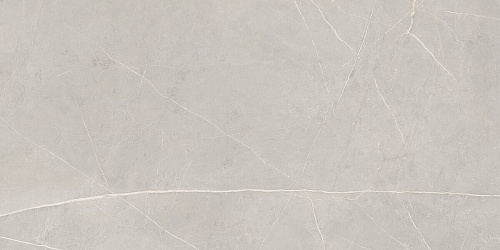 Плитка из керамогранита NL02 60x120x10 Непол.Рект. (Керамический гранит)