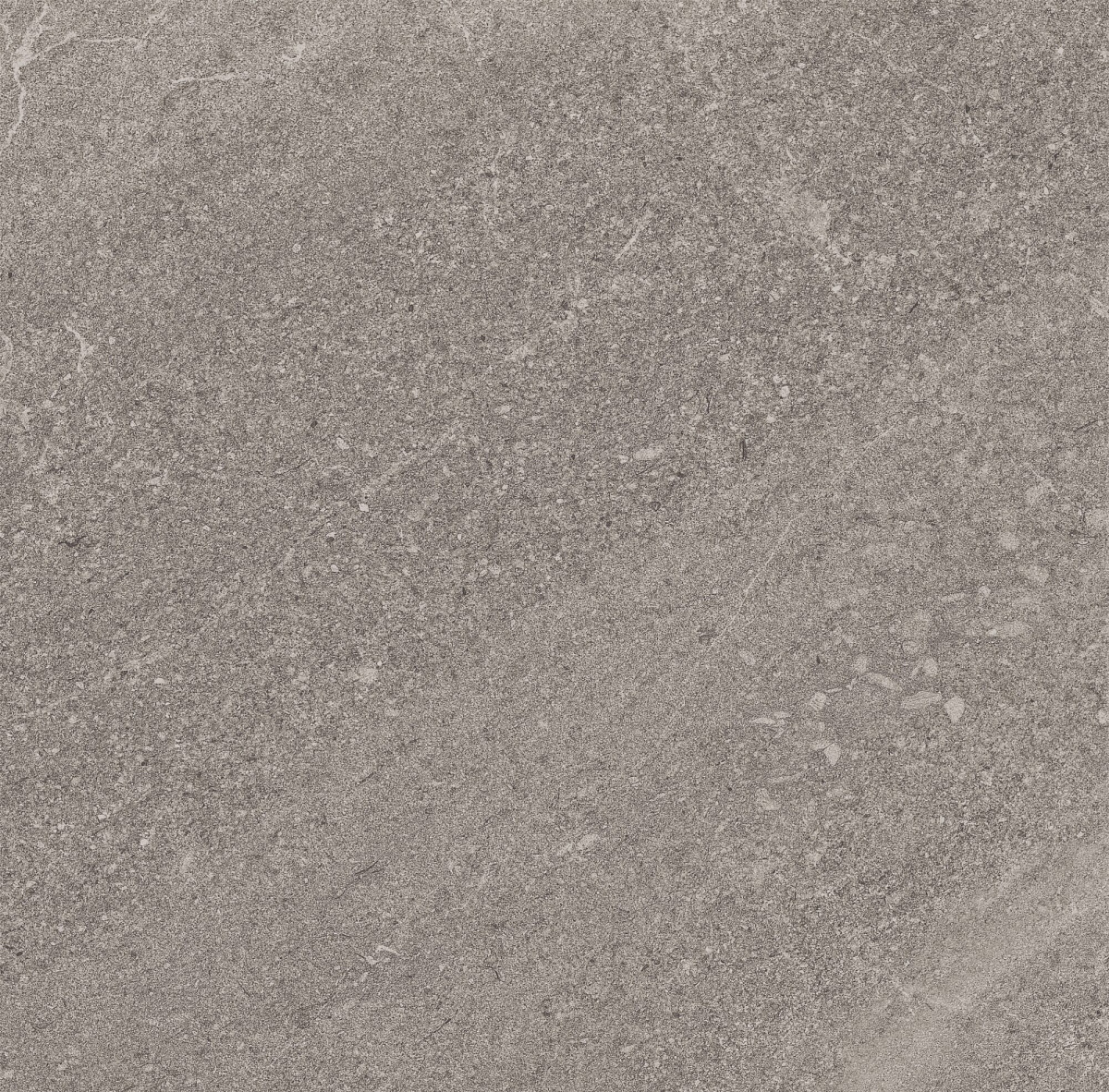 Плитка из керамогранита GB02 60x60x10 Непол.Рект. (Керамический гранит)