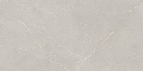 Плитка из керамогранита NL02 60x120x10 Непол.Рект. (Керамический гранит)