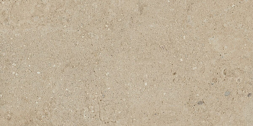 Плитка из керамогранита NP02 30,6x60,9x8 Непол. (Керамический гранит)