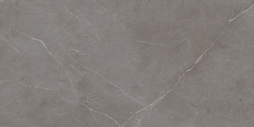 Плитка из керамогранита NL03 60x120x10 Непол.Рект. (Керамический гранит)