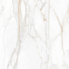 Плитка из керамогранита SM02 60x60x10 Полир. (Керамический гранит)