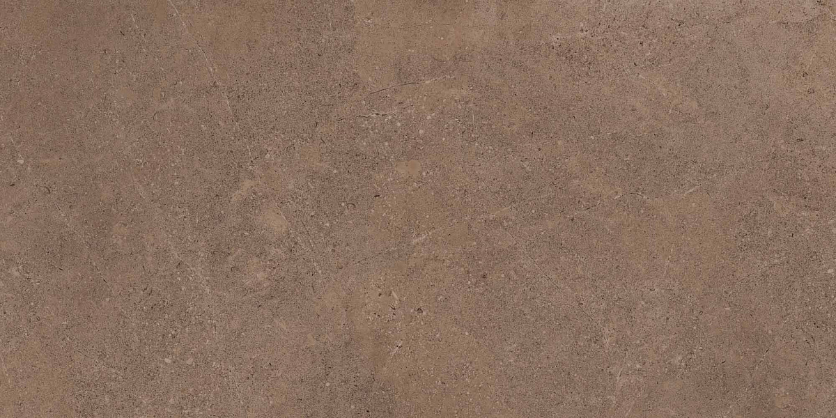 Плитка из керамогранита GO02 60x120x10 Непол.Рект. (Керамический гранит)