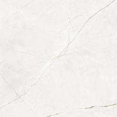Плитка из керамогранита NL00 60x60x10 Полир. (Керамический гранит)