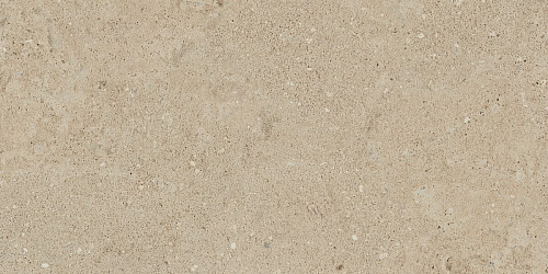 Плитка из керамогранита NP02 30,6x60,9x8 Непол. (Керамический гранит)
