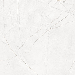 Плитка из керамогранита NL00 60x60x10 Полир. (Керамический гранит)
