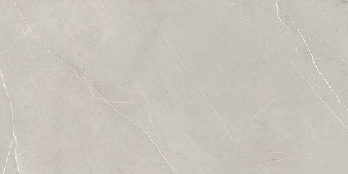 Плитка из керамогранита NL02 60x120x10 Непол.Рект. (Керамический гранит)