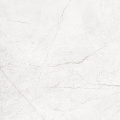 Плитка из керамогранита NL00 60x60x10 Полир. (Керамический гранит)
