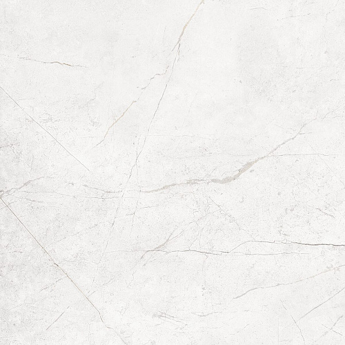 Плитка из керамогранита NL00 60x60x10 Полир. (Керамический гранит)