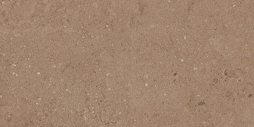 Плитка из керамогранита NP03 30,6x60,9x8 Непол. (Керамический гранит)