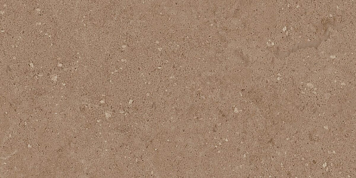 Плитка из керамогранита NP03 30,6x60,9x8 Непол. (Керамический гранит)