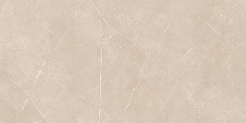 Плитка из керамогранита NL01 60x120x10 Непол.Рект. (Керамический гранит)