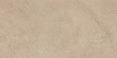 Плитка из керамогранита EXS303 60x120x9 Непол.Рект. (Керамический гранит)
