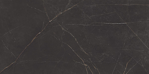 Плитка из керамогранита NL04 60x120x10 Непол.Рект. (Керамический гранит)