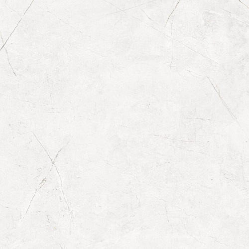 Плитка из керамогранита NL00 60x60x10 Полир. (Керамический гранит)