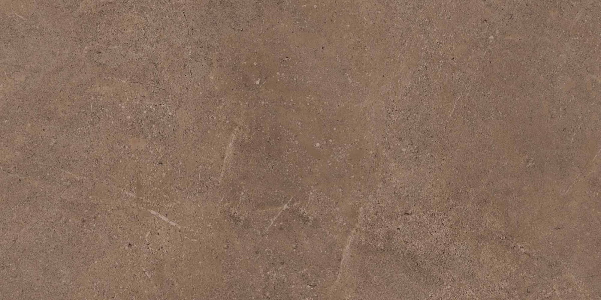 Плитка из керамогранита GO02 60x120x10 Непол.Рект. (Керамический гранит)
