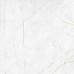 Плитка из керамогранита NL00 60x60x10 Полир. (Керамический гранит)