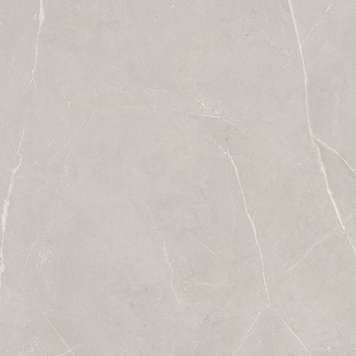Плитка из керамогранита NL02 60x60x10 Полир. (Керамический гранит)