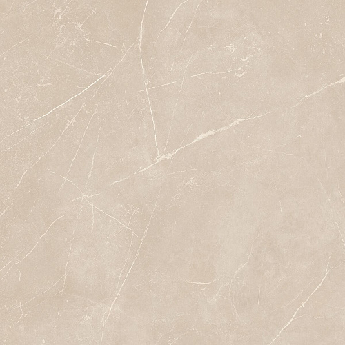 Плитка из керамогранита NL01 60x60x10 Полир. (Керамический гранит)