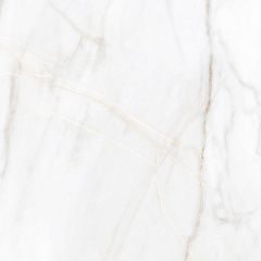 Плитка из керамогранита SM02 60x60x10 Полир. (Керамический гранит)